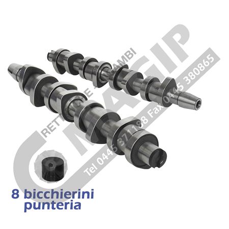 KIT CAMSHAFTS WITH DPF FOR AUDI-VW