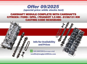 CAMSHAFT MODULE COMPLETE WITH CAMS - CODE 9830580480 (to be assembled)